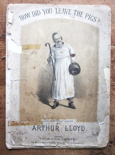 1878 pigs arthur lloyd - pigs,