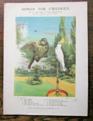 C1875 owl cockatoo - owl, victorian